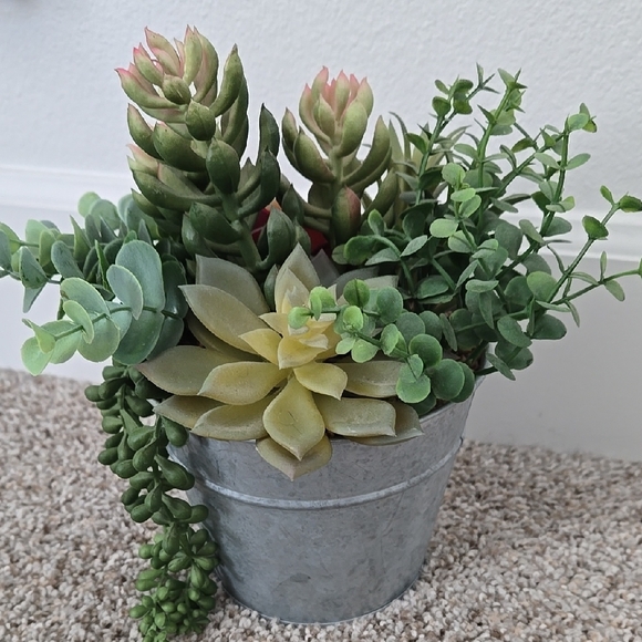 Succulent Arrangement in Gray Metal Pot - Picture 3 of 9